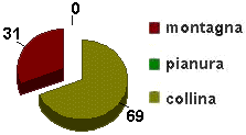 grafico marche