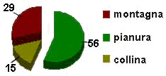 grafico veneto